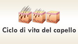 ✔️Qual è il ciclo di vita del capello❓ Perché cadono i capelli❓ Scoprilo con questo breve video [upl. by Far892]