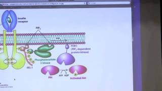 Kevin Aherns BiteSized Biochemistry 19 Cellular Signaling II [upl. by Niarda521]