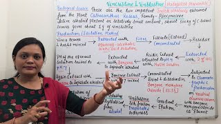 Vincristine amp Vinblastine Part 01  Industrial Production Estimation and Utilization Part 17 [upl. by Somar]