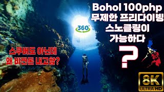 8K VR 공짜로 보홀 산호를 즐길 수 있는 프리다이빙을 해보자 Bohol napaling Freediving [upl. by Braden948]