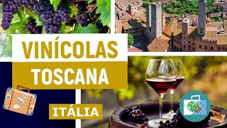 Vinícolas da Toscana na Itália  Dicas de Turismo [upl. by Tica593]