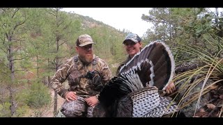 23 Turkey Tour Ep 13  Grande El Pavo Mexico Goulds Turkey Hunt [upl. by Mungam]