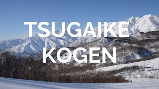 Tsugaike Kogen Ski Resort in Hakuba Japan [upl. by Ahset]