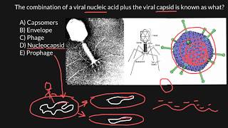 Capsomers Envelope Phage Nucleocapsid Prophage [upl. by Linnea971]