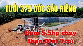 Hệ Thống Tưới 375 Gốc Sầu Riêng Bằng Điện Mặt Trời  Cách Chia Van Nắng Yếu Tưới Vẫn Ổn Định [upl. by Peppi]