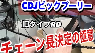 訂正します！P軸をB軸って間違えて表記。ロードバイクのチェーン長さ決め方 【 ビックプーリーの場合】 [upl. by Trudy299]