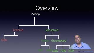 Level 2 Papermaking  Chemical Pulping [upl. by Lener]