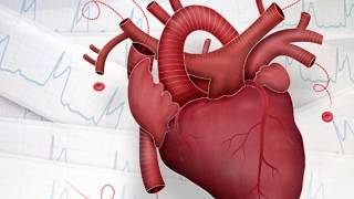 Main Signssymptom of Heart Diseaseमुटु रोगका प्रमुख १४ लक्षणहरु [upl. by Drislane]