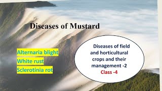 Diseases of Mustard  Alternaria blight  White rust  Sclerotinia rot  Plant Pathology [upl. by Suoivatco]