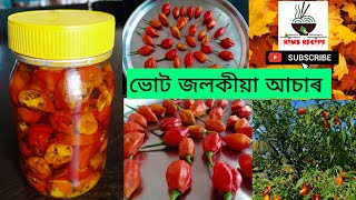 Bhut jolokia asar  Ghost chilli pickle  king chilli pickle chilli pickle recipe [upl. by Ynaffyt]