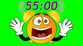 55 Minute Timer  Loud Alarm Clock Sound [upl. by Anjali]