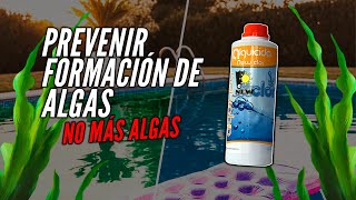 Cómo usar el Alguicida para piscinas ✅ TUTORIAL MAYO 2024   Prevenir formación de algas [upl. by Houghton]