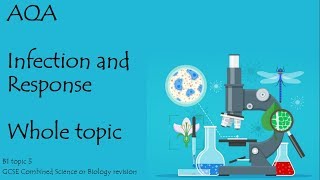 The whole of INFECTION AND RESPONSE AQA 91 GCSE Biology or combined science for paper 1 [upl. by Nimesay]