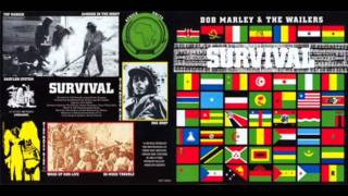 Bob Marley Zimbabwe Demo Survival 79 [upl. by Jesh]