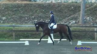 038D Jordan Linstedt on LS Cowboy Casanova Open Preliminary Dressage Aspen Farms Sept 2024 [upl. by Chubb]