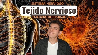 TODO lo que un ESTUDIANTE debe saber del TEJIDO NERVIOSO TortoraDerrickson [upl. by Noseaj]