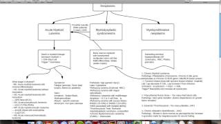 Myeloid and Lymphoid neoplasms web Computer [upl. by Kariotta802]