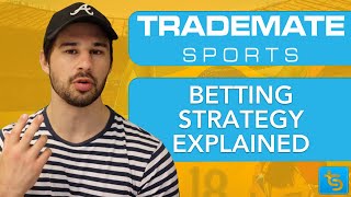 Our Betting Strategy Explained  Trademate Sports Value Betting Software [upl. by Leiuqeze]