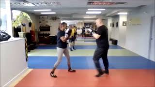 Savate  5 Punching Combinations [upl. by Renick]