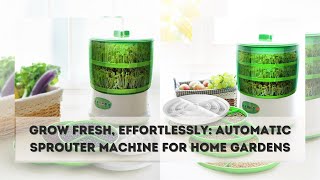 Automatic Sprouter Machine  Intelligent Automatic Bean Sprouts Maker [upl. by Yreva933]