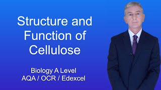 A Level Biology Revision quotStructure and Function of Cellulosequot [upl. by Araf300]