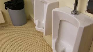 Why Washout Urinals and Siphonic Urinals Shouldnt Be Together [upl. by Ynettirb341]