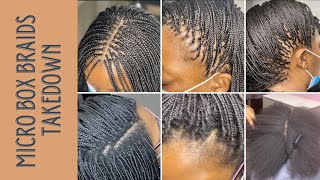 Micro Box Braids TAKEDOWN After 4 MONTHS [upl. by Ainocal]