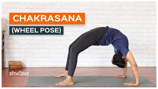 Chakrasana for Beginners  How to Do Chakrasana  Chakrasana Step by Step  Wheel Pose for Beginners [upl. by Ajak]