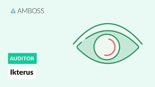 Differentialdiagnostik des Ikterus  AMBOSS Auditor [upl. by Alinoel7]