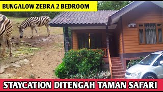 BUNGALOW ZEBRA TAMAN SAFARI  PENGINAPAN TERMEWAH DI PUNCAK [upl. by Yevoc]