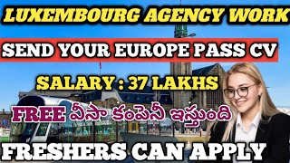 Get SPONSORED JOBS IN LUXEMBOURG🇱🇺 2024  LUXEMBOURG HIGH DEMAND JOBS  LUXEMBOURG WORK VISA FREE [upl. by Simsar]