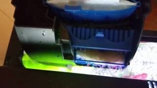 How to set up a fish tank hob power filter [upl. by Thaxter395]