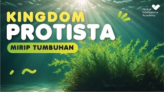 BIOLOGI IPA Kelas 10  Kingdom Protista Protista Mirip Tumbuhan  GIA Academy [upl. by Forrester455]