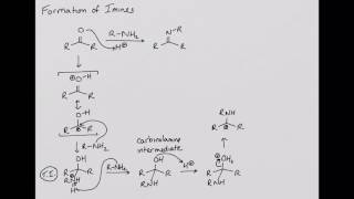 Formation of Imines [upl. by Rie300]