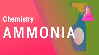 The Haber Process  the Uses of Ammonia  Reactions  Chemistry  FuseSchool [upl. by Keyser]