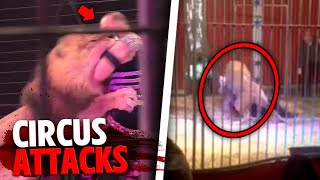 These 3 People Were RIPPED APART By Deadly Circus Animals [upl. by Flaherty71]