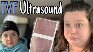 SHOCKING RESULTS  FIRST ULTRASOUND OF IVF CYCLE 2  How Big How Many [upl. by Selec]