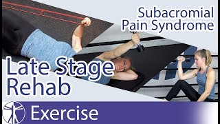 Subacromial Pain Syndrome SAPS  Late Phase Eccentric Rehab [upl. by Iilek]