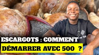 Escargots  comment démarrer avec 500 [upl. by Vinia]