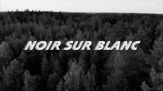 Dreamy Shrimp  Noir sur blanc Clip Officiel [upl. by Dutchman]