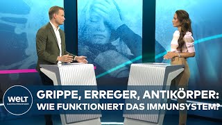 GRIPPE ERREGER ANTIKÖRPER  Wie funktioniert das Immunsystem  WELT GESUNDHEIT [upl. by Onahpets]