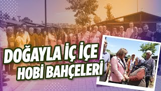 Hobi bahçeleri doğayla iç içe zaman geçirmek isteyenlerin mekanı 🏡 [upl. by Ettevad534]