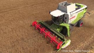 Moisson dune orge dhiver avec des moissonneuses Claas par la SARL Naulet de Bocé [upl. by Ddahc]