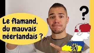 Le flamand du mauvais néerlandais  Questce que le FLAMAND  Apprendre le flamand comment [upl. by Llednew120]