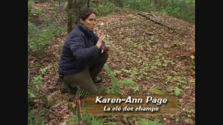 Bien vivre la forêt Chapitre 5 Les produits forestier non ligneux [upl. by Kimmie]