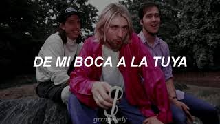 DRAIN YOU  NIRVANA Sub español [upl. by Gee468]