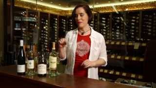 Riesling Sauvignon Blanc Chardonnay Pinot Grigio Pinot Gris  White Wine Guide [upl. by Eerok]