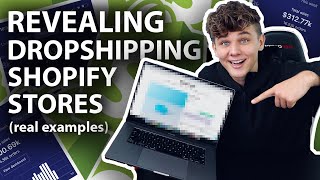 Reviewing 7 Actual Shopify Dropshipping Stores Real Examples [upl. by Angele763]