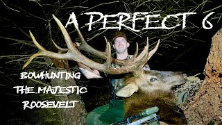 A Perfect 6 Bowhunting The Majestic Roosevelt HD [upl. by Ecenaj]