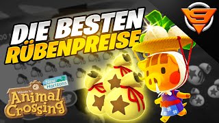 Die besten Rübenpreise  Rübenrechner  Animal Crossing New Horizons [upl. by Tesil574]